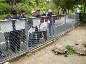 到津の森公園